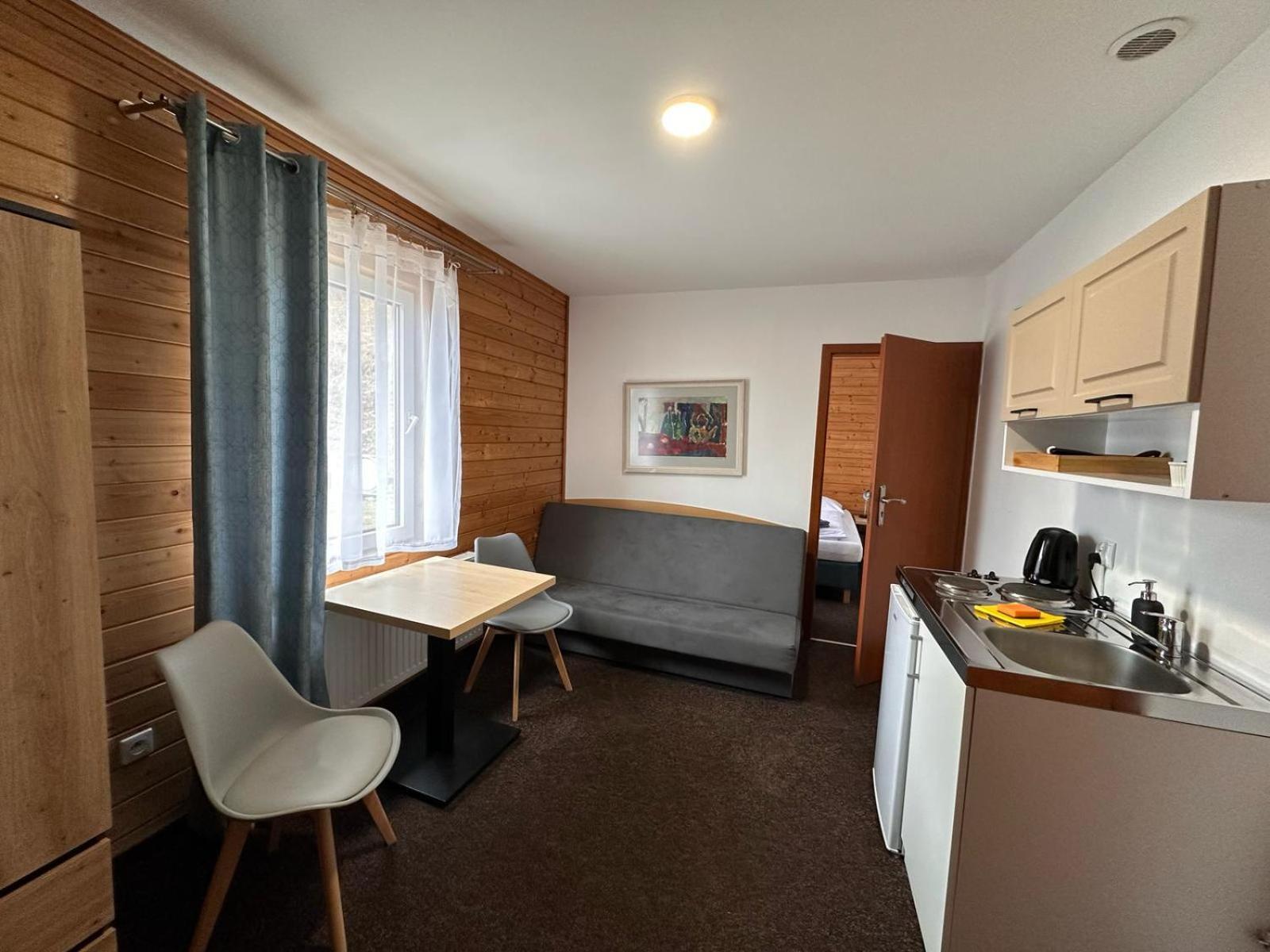 Pod Orlica Apartment Duszniki Zdrój Cameră foto